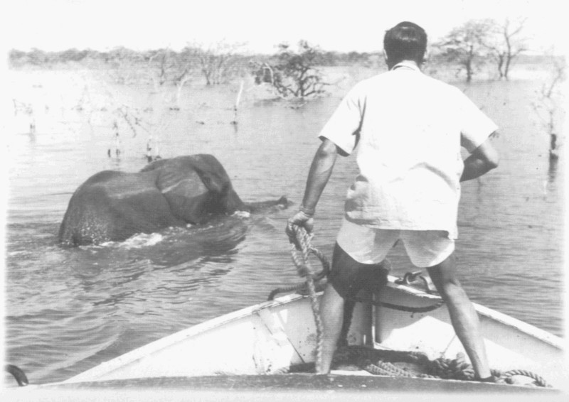 Zimbabwe Lake Kariba